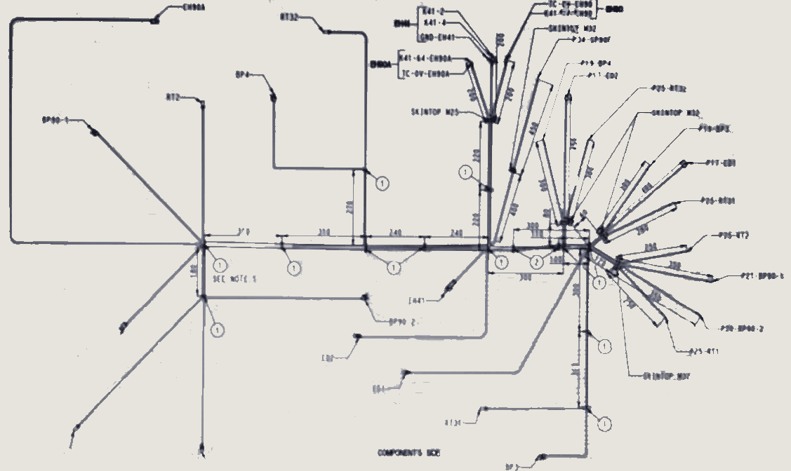 Wiring Loom